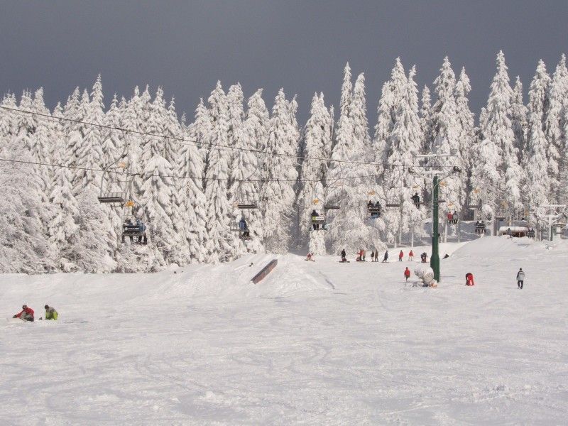 SKI AREL REJDICE - KOENOV