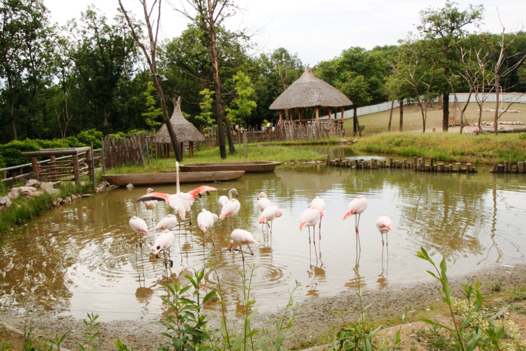 ZOO BRNO