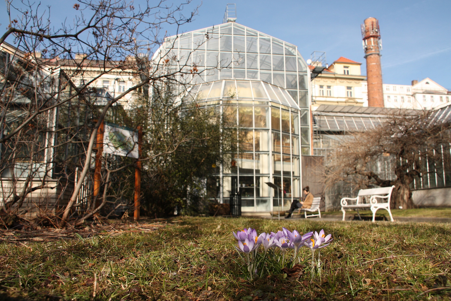 BOTANICK ZAHRADA UNIVERZITY KARLOVY  PRAHA NOV MSTO