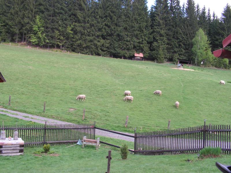 UBYTOVÁNÍ V SOUKROMÍ NA VISALAJÍCH