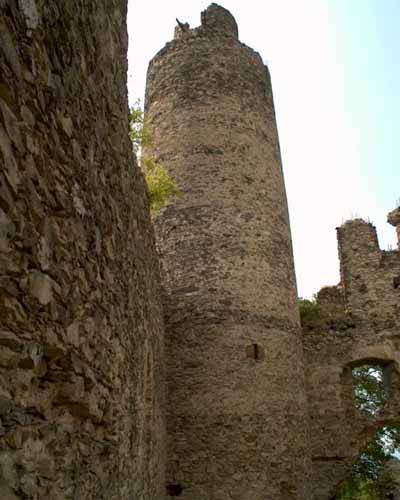 Zcenina hradu Kostomlaty nad Mileovkou